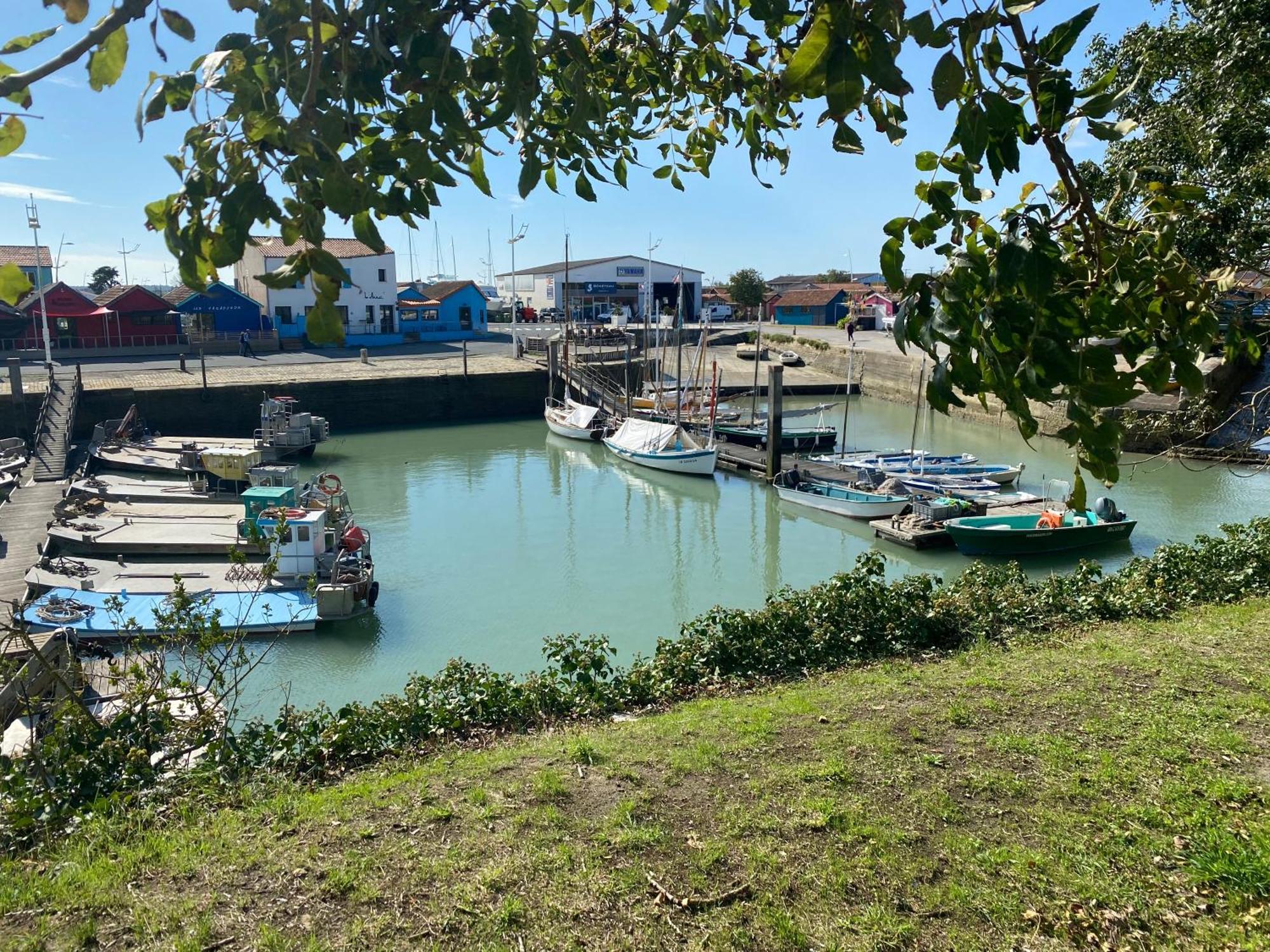 Les Amareyeurs - Ile D'Oleron - Maison Classee 3 Etoiles Avec Piscine - Clim - Velos Le Château-dʼOléron Eksteriør billede